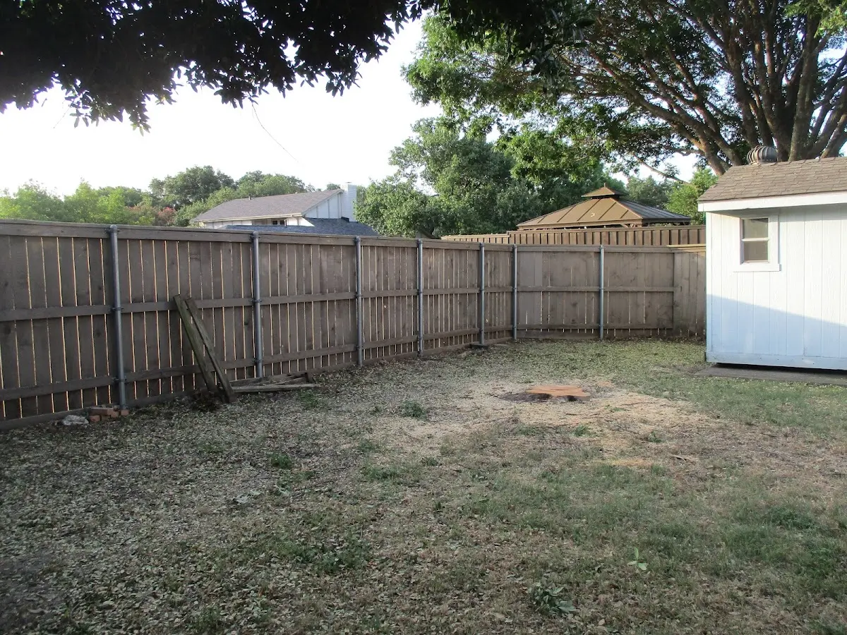 Cleared yard after professional tree removal in Leamington